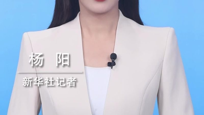 多语言搜索系统：揭秘其核心规格与选型逻辑**